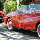 March 2013 Newsletter 